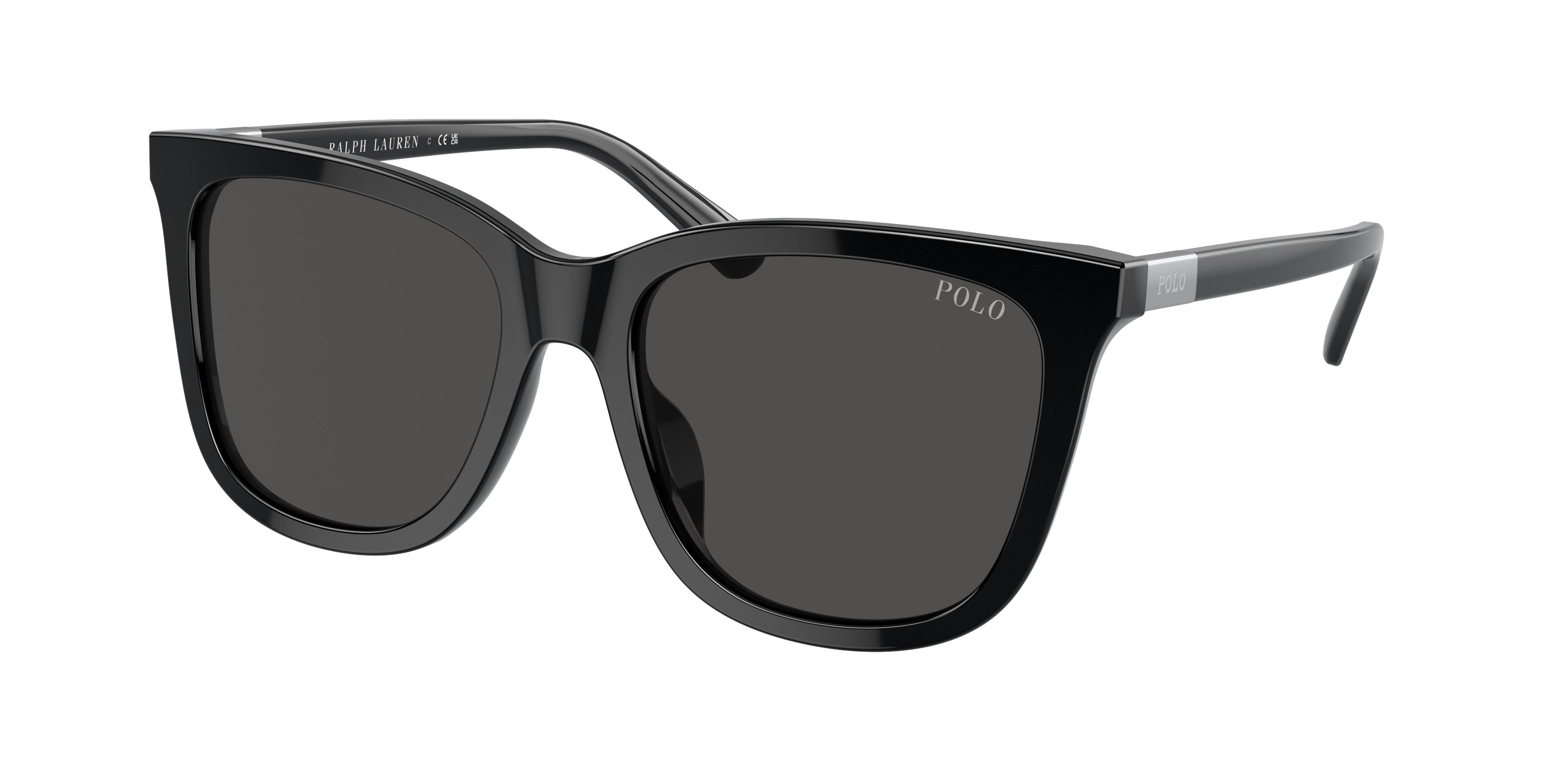  Polo 4201U Sunglasses 