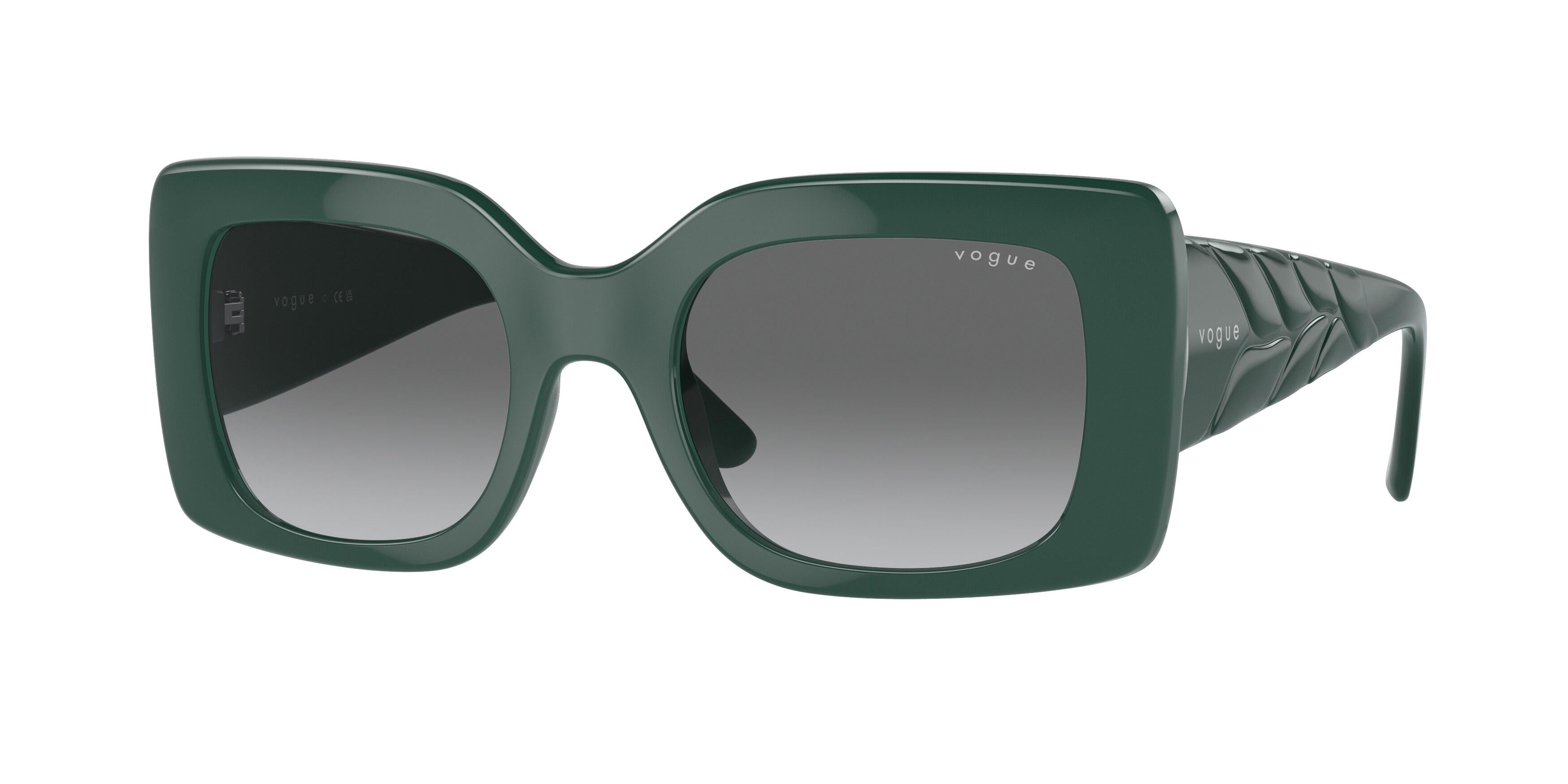  Vogue 5481S Sunglasses 