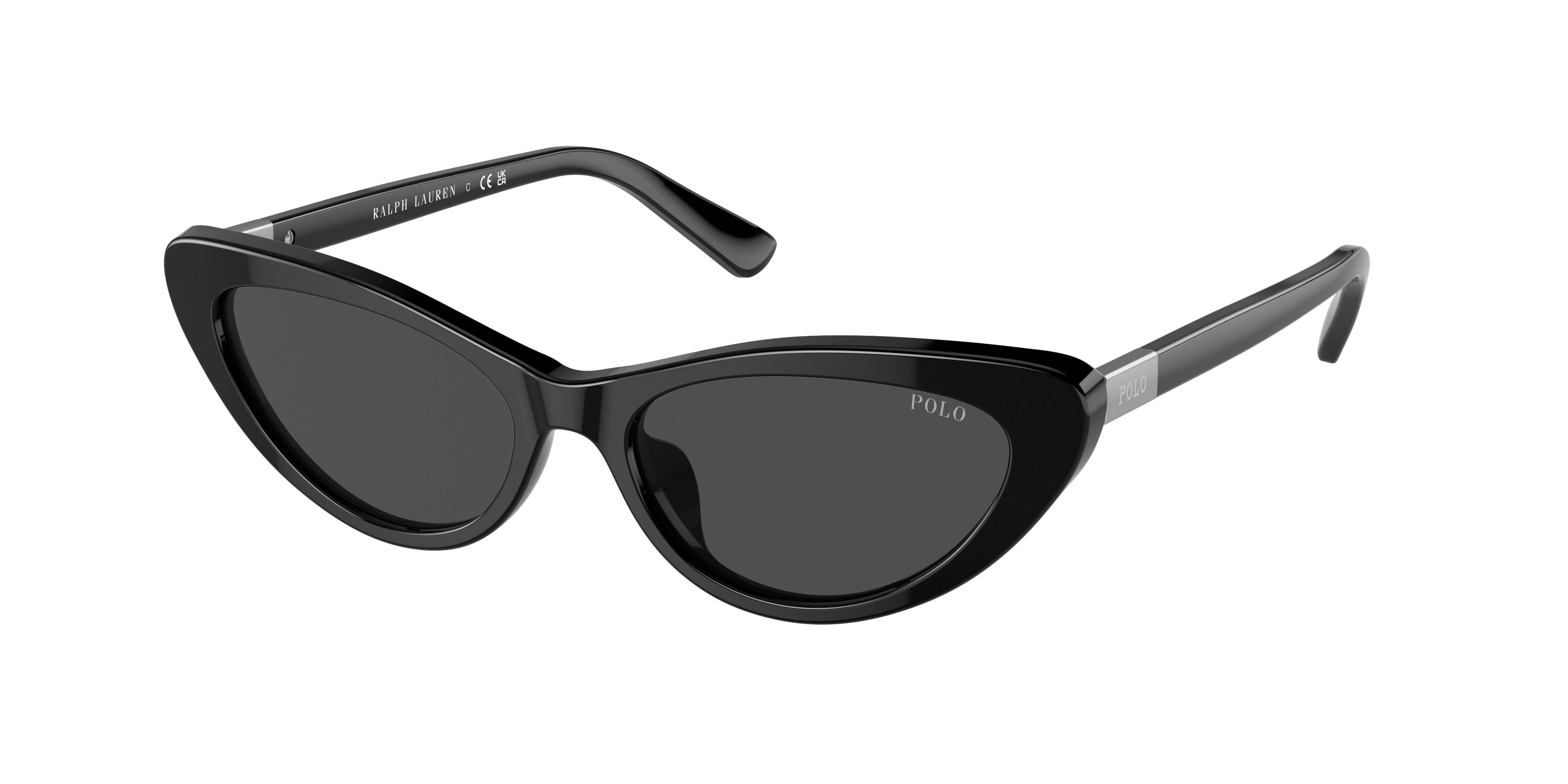  Polo 4199U Sunglasses 