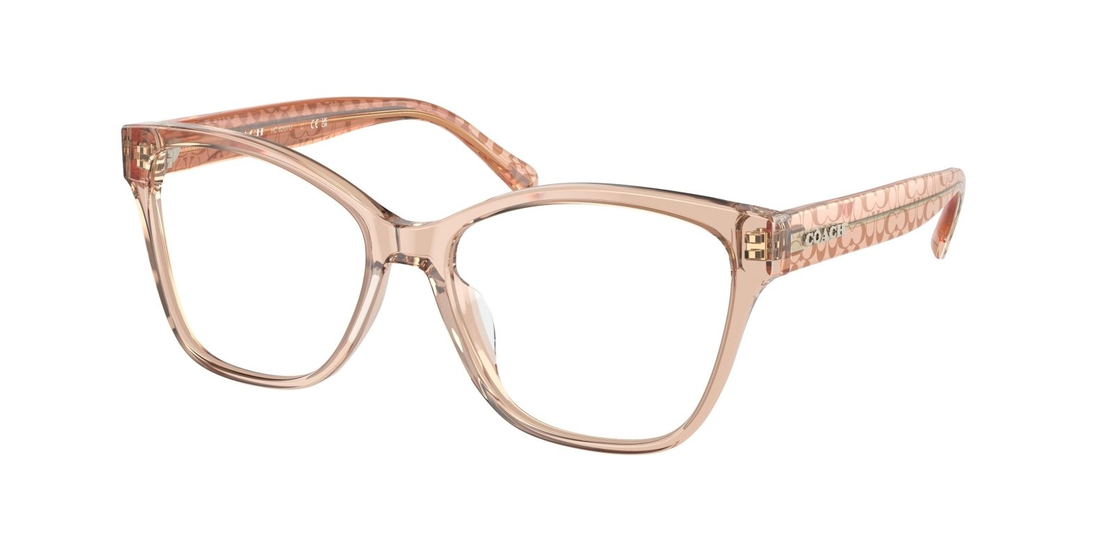  Coach 6207U Eyeglasses 