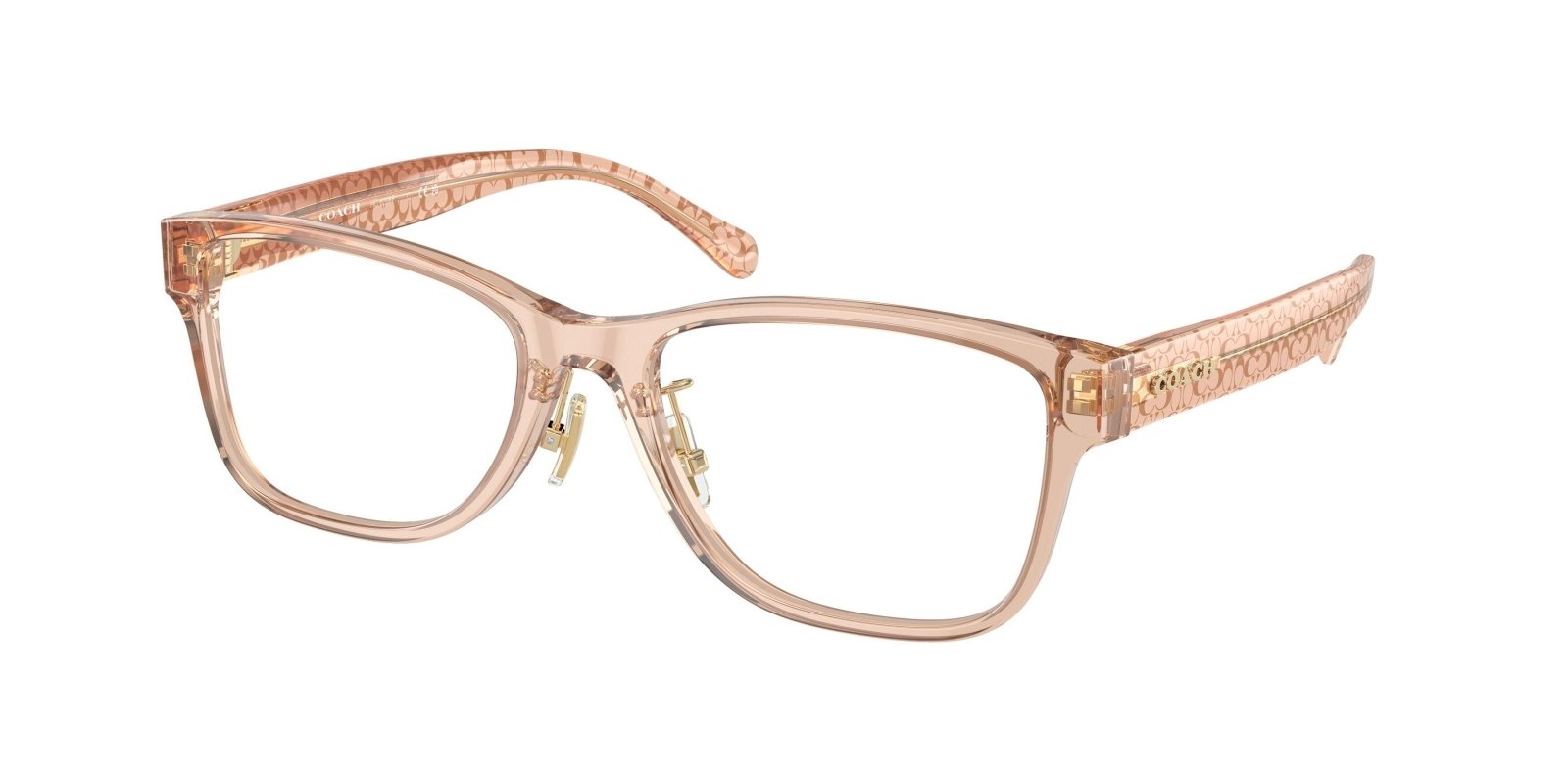  Coach 6208F Eyeglasses 