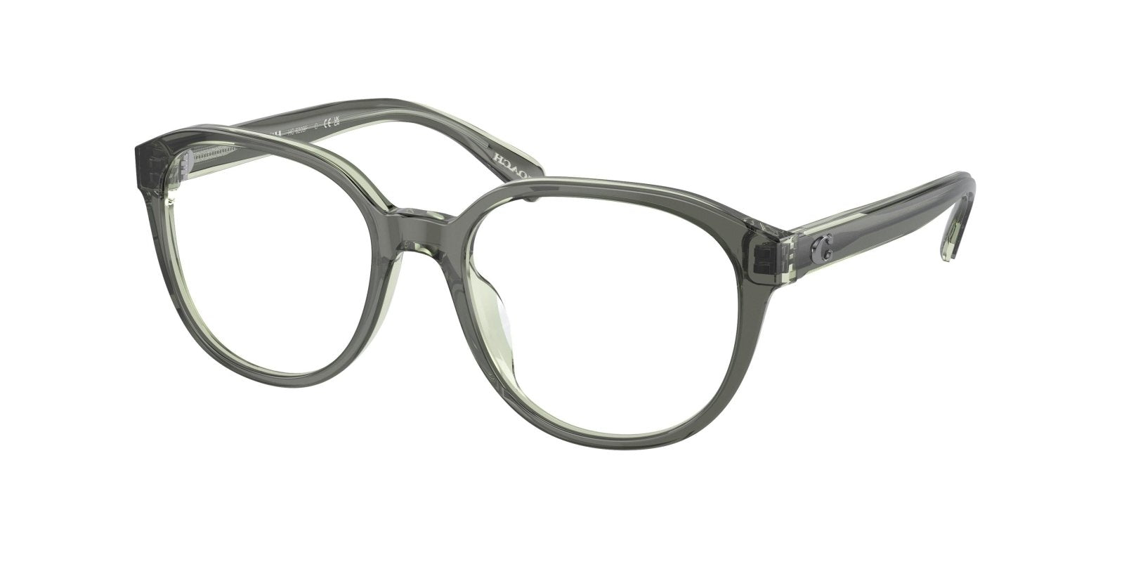  Coach 6209F Eyeglasses 