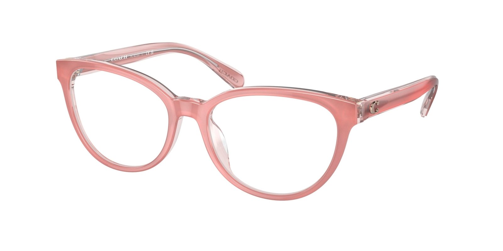  Coach 6210U Eyeglasses 