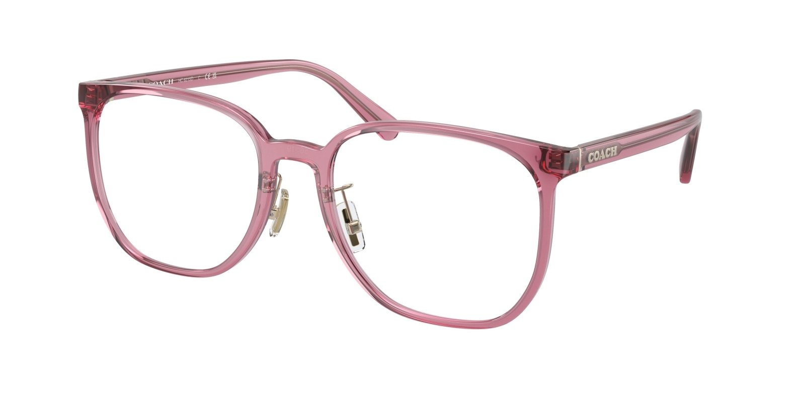  Coach 6215D Eyeglasses 