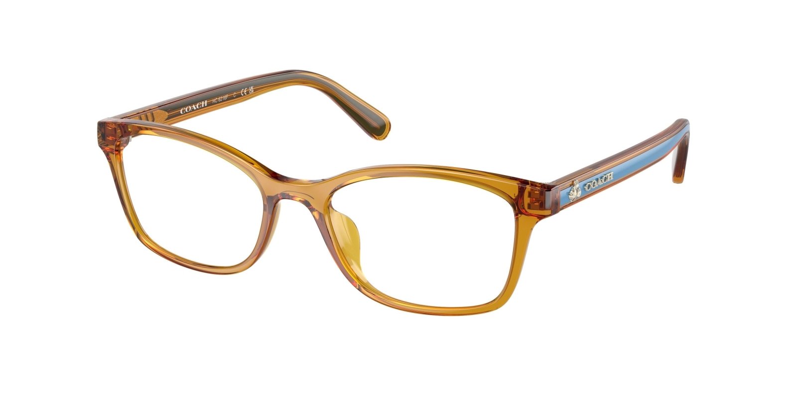  Coach 6216F Eyeglasses 