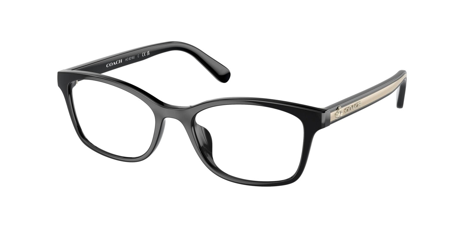  Coach 6216U Eyeglasses 