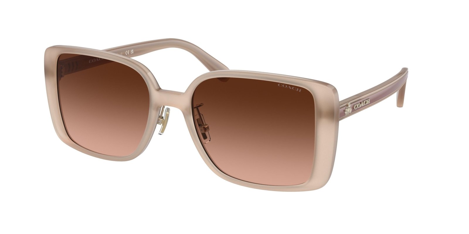  Disney X Coach 8375 Sunglasses 