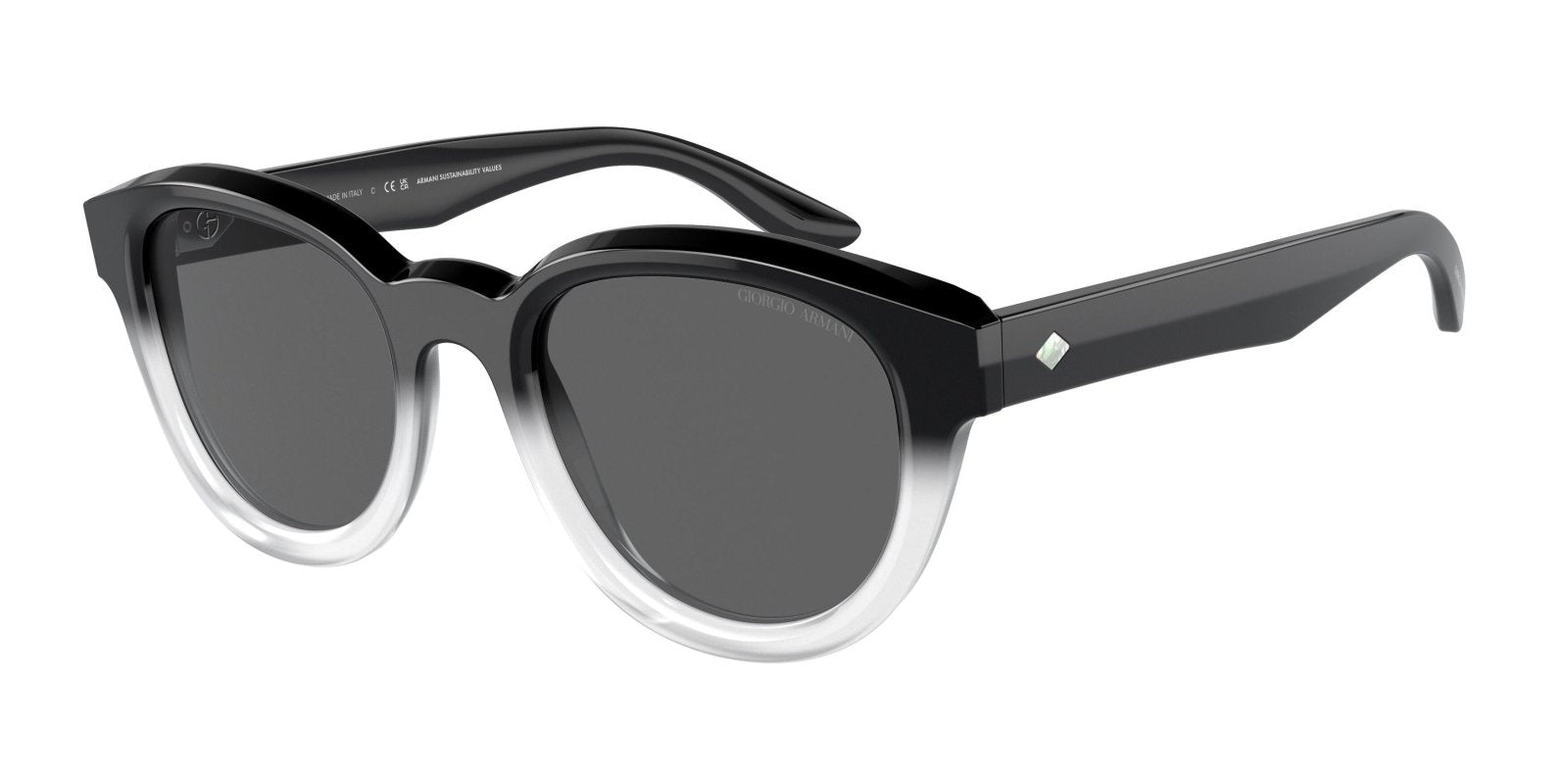  Giorgio Armani 8181F Sunglasses 