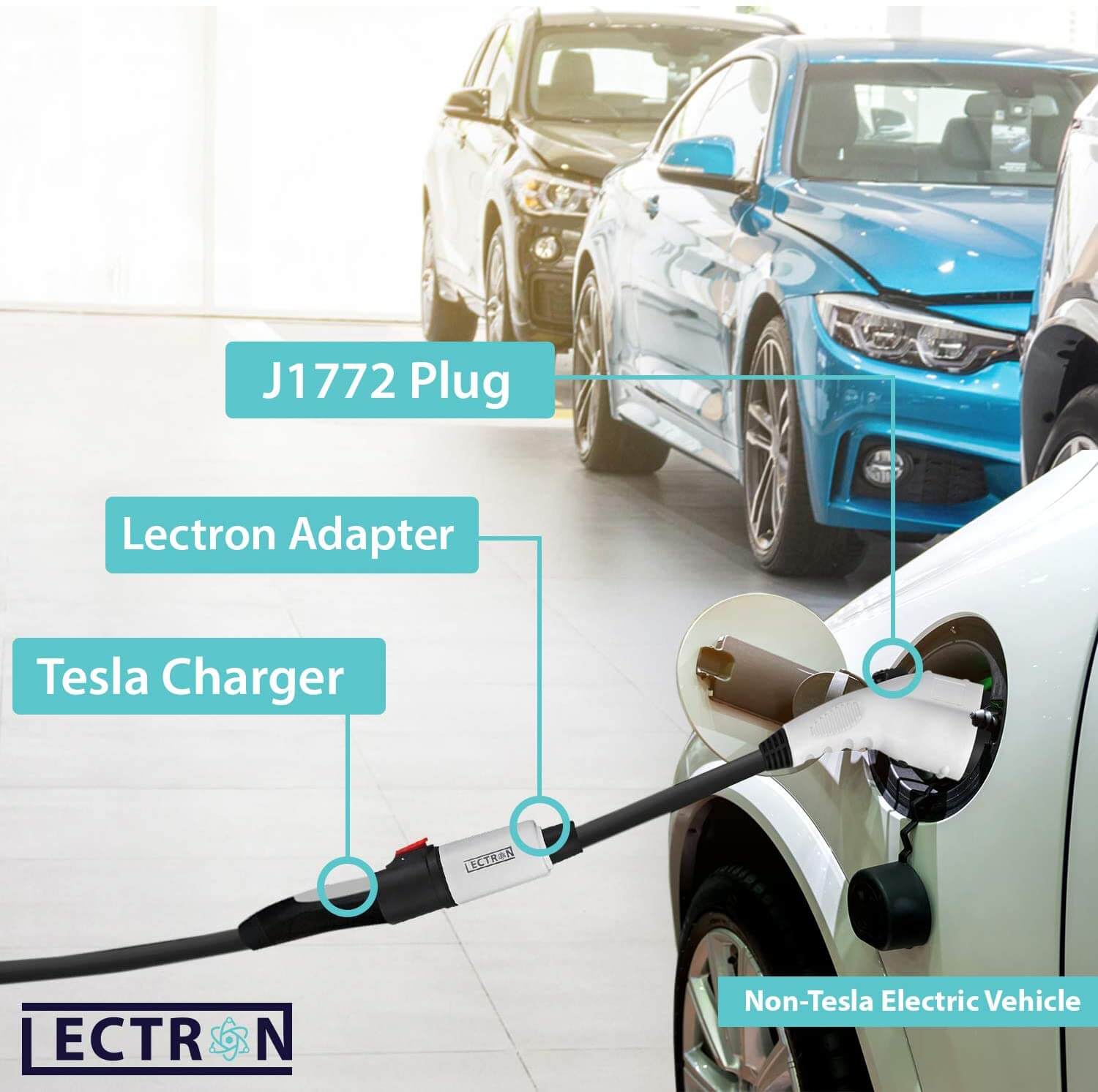 Lectron Portable Level 2 J1772 EV Charger + 40 Amp Tesla to J1772 EV Adapter Bundle | 240V | 32 Amp | NEMA 14-50