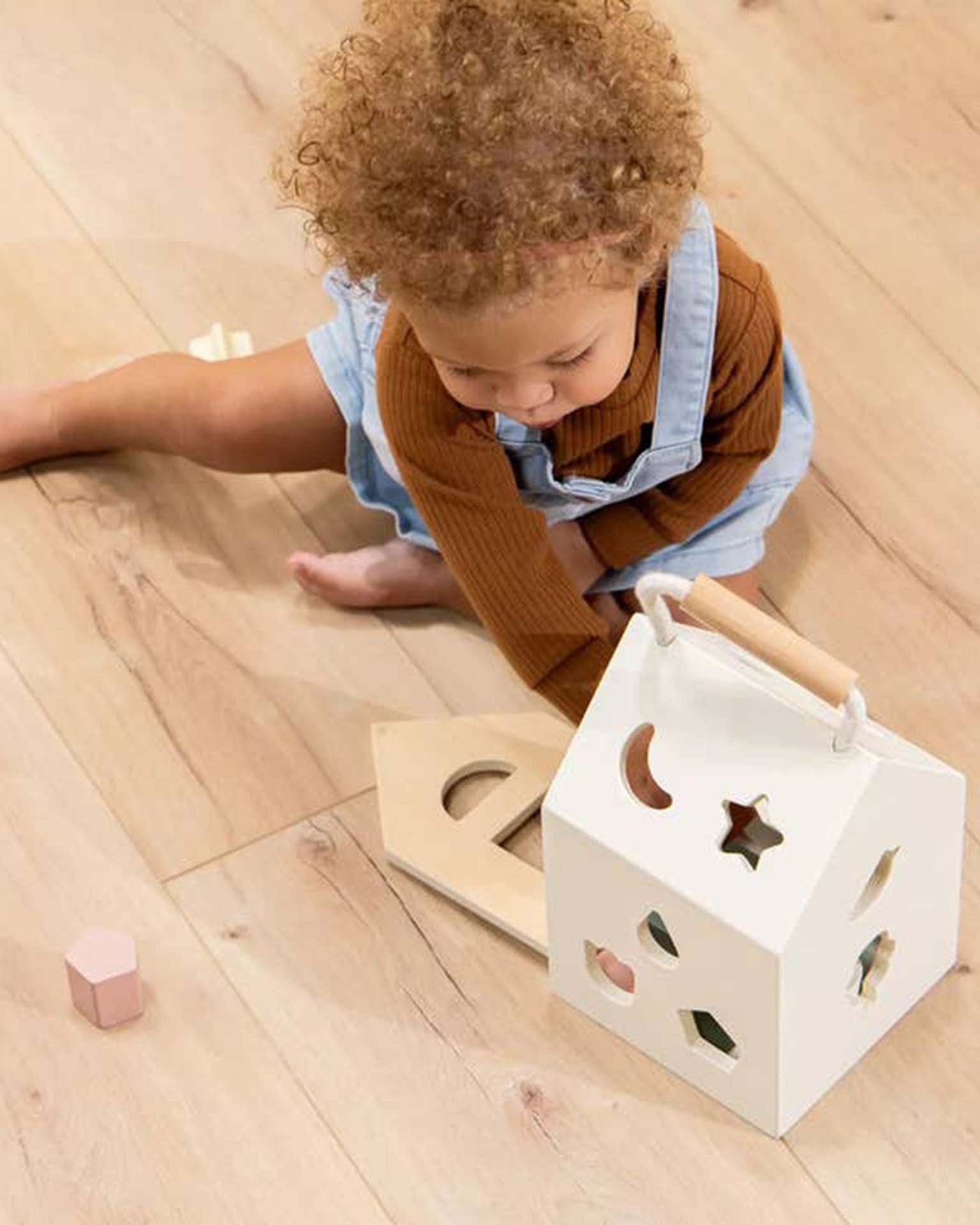 wooden shapes sorting house assorted with star