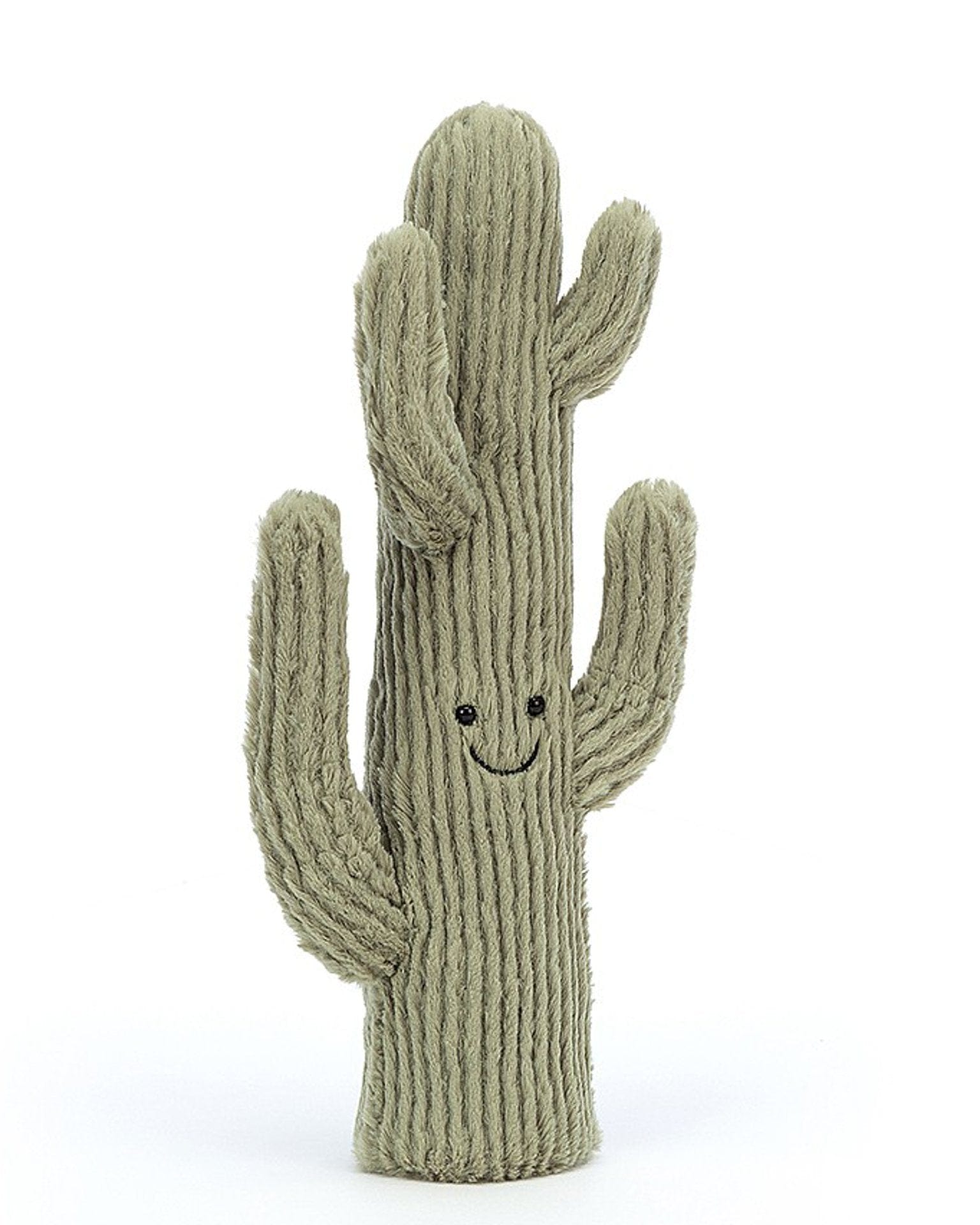 amuseable desert cactus small