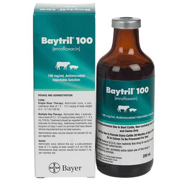 Bayer Baytril 100 Injectable