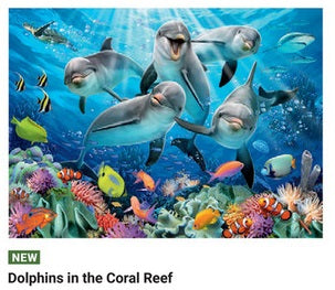 Dolphins In The Coral Reef 500 Pc Pz
